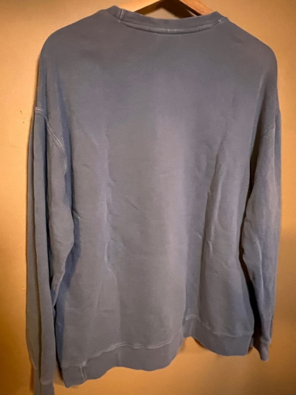 Comfort Colors Distressed Blue Sweatshirt with Red Lobster Print Oversized Fit - Picture 5 of 16